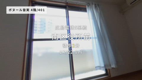 動画