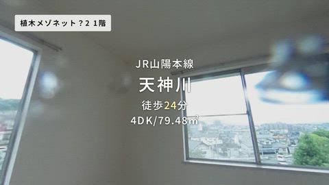 紹介ムービー