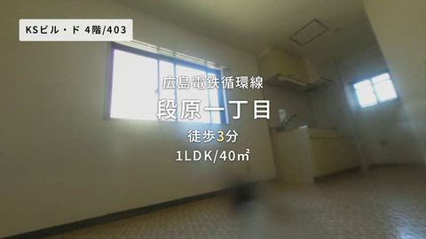 動画
