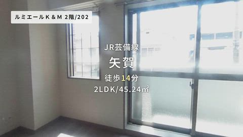 動画