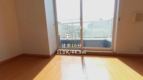 紹介ムービー