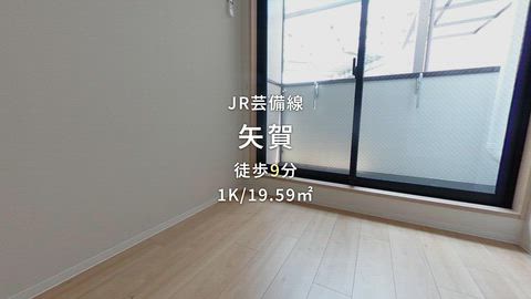 動画