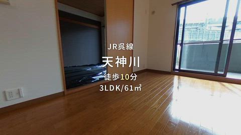 動画