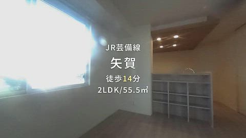 動画