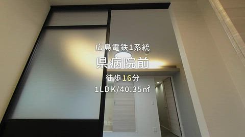 動画