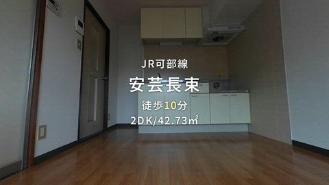 動画