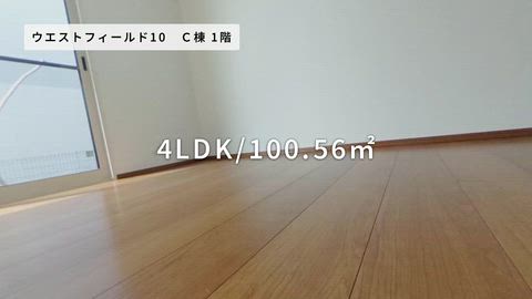 紹介ムービー