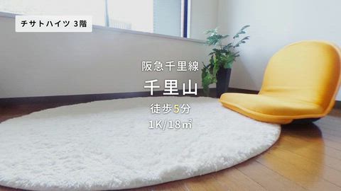 紹介ムービー