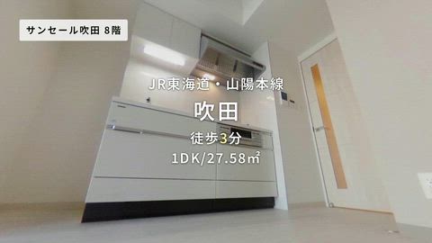 動画
