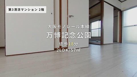 動画