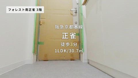 紹介ムービー