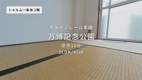 動画