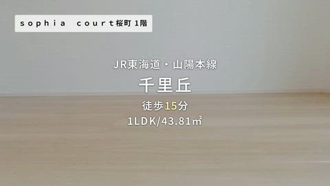紹介ムービー