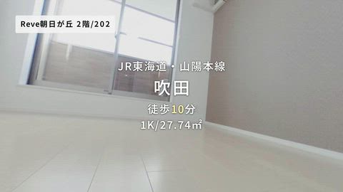 動画