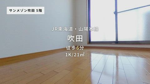 動画
