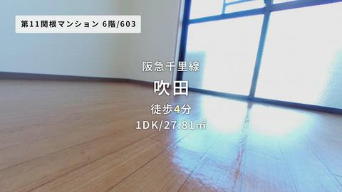 動画