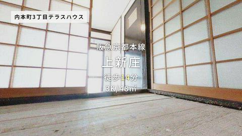 動画