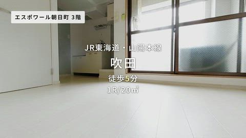 動画