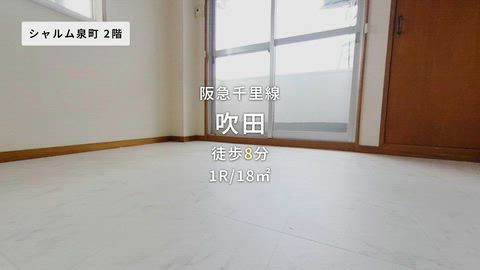 動画