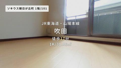 動画