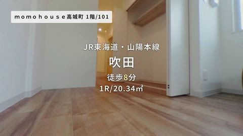 動画