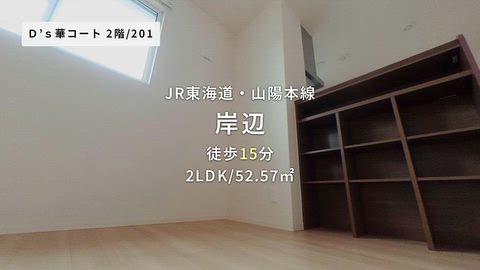 動画