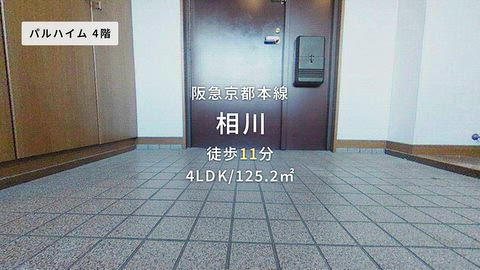 動画