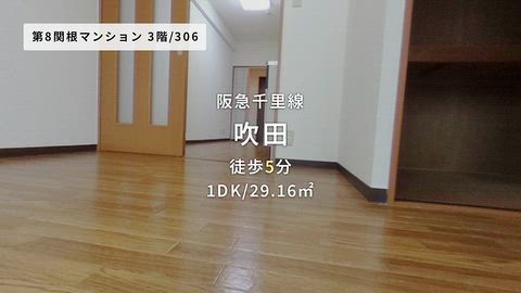 動画