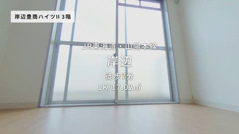 動画