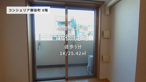 動画