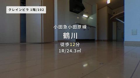 動画
