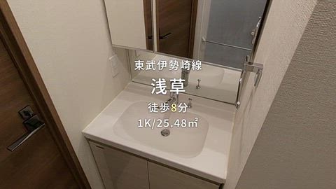 動画