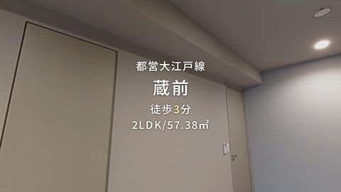 動画