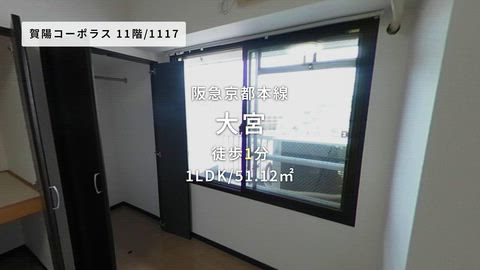 動画