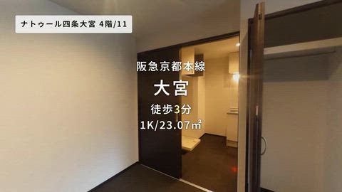 動画