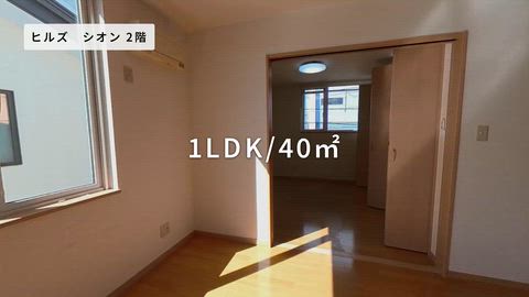 動画