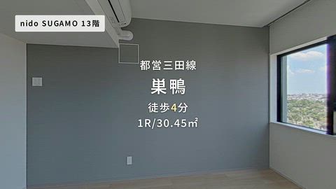 動画