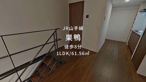 動画