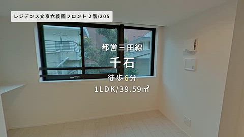 動画