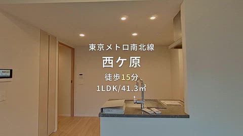 動画