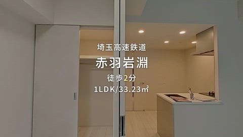 動画