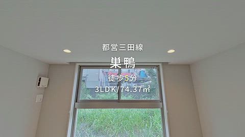 動画