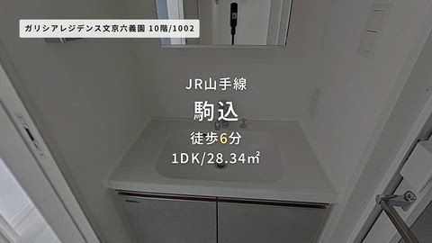 動画