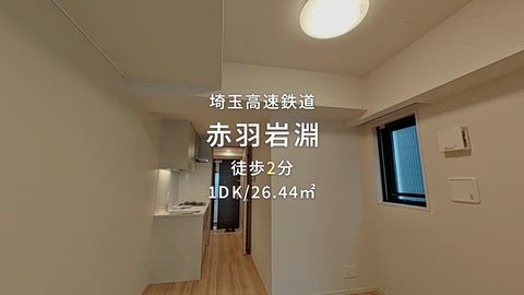 動画