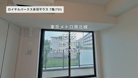 動画