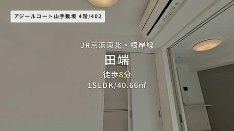 動画