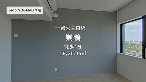 動画