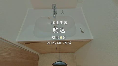 動画