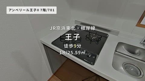 動画