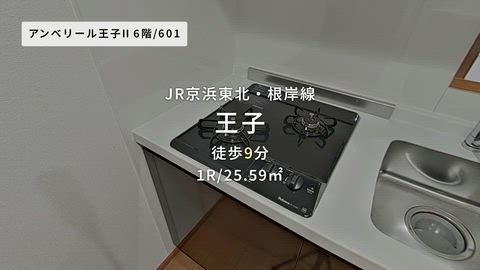 動画